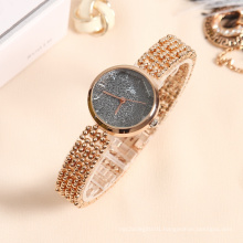 JW 6244 Diamonds ladies quartz watch rose gold design hot selling womens diamond watch